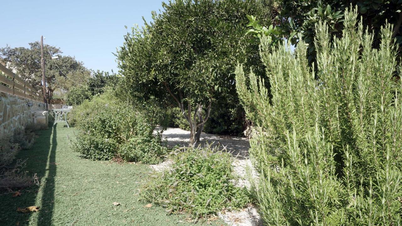 Studio Panagiota - Oasis Holiday Houses Κόκκινος Πύργος Εξωτερικό φωτογραφία