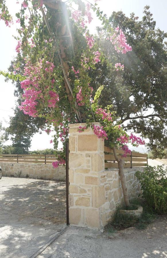Studio Panagiota - Oasis Holiday Houses Κόκκινος Πύργος Εξωτερικό φωτογραφία